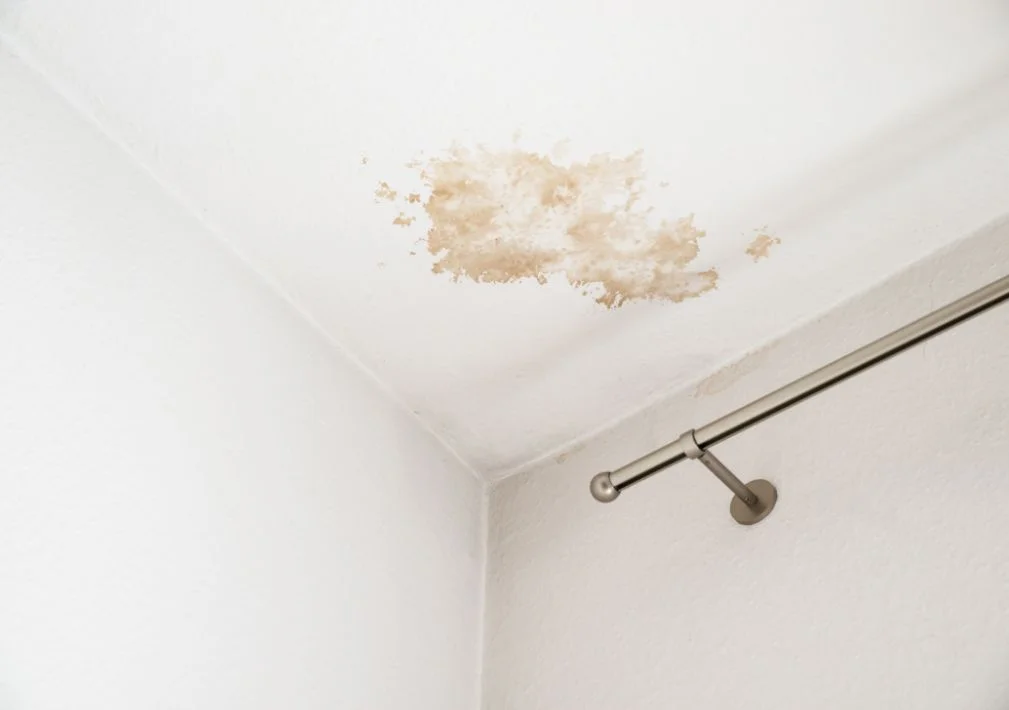 Plumbing & Leak Repairs services in Castleknock