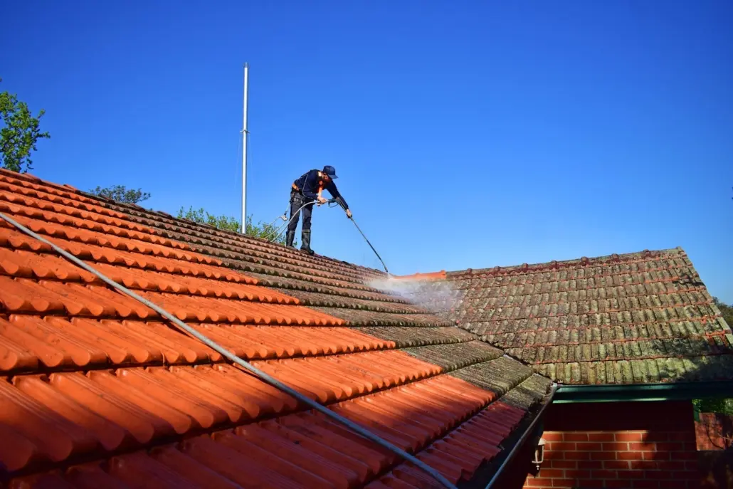 Garden & Exterior Maintenance services in Castleknock